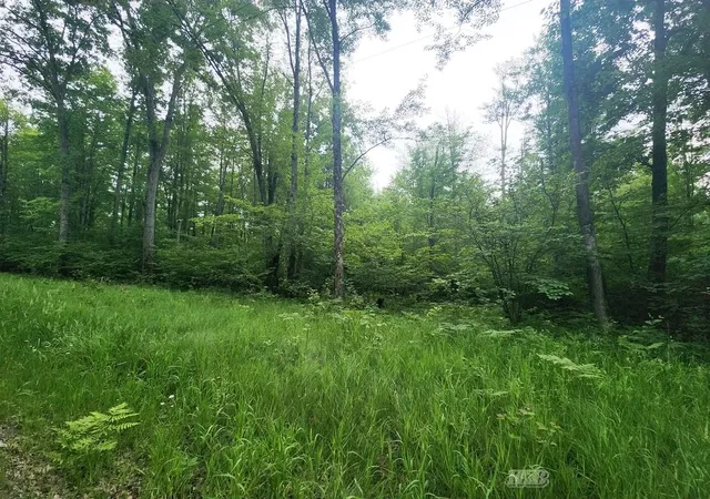 Photo 4 of Sale Pending at 1 Acre W Monroe Rd, Harrison, MI 48625 | MLS# 50179712 | Listing updated on 2026-06-07