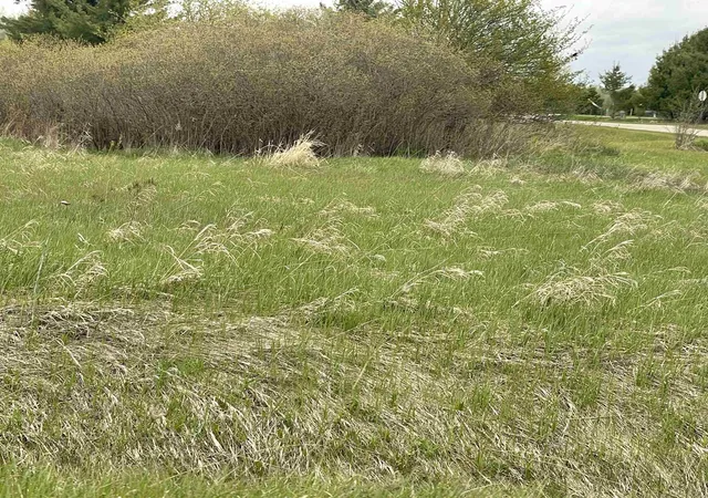 Photo 3 of Land for sale at Tbd Fairfield Rd, Gladwin, MI 48624 | MLS# 50199037 | Listing updated on 2026-05-16