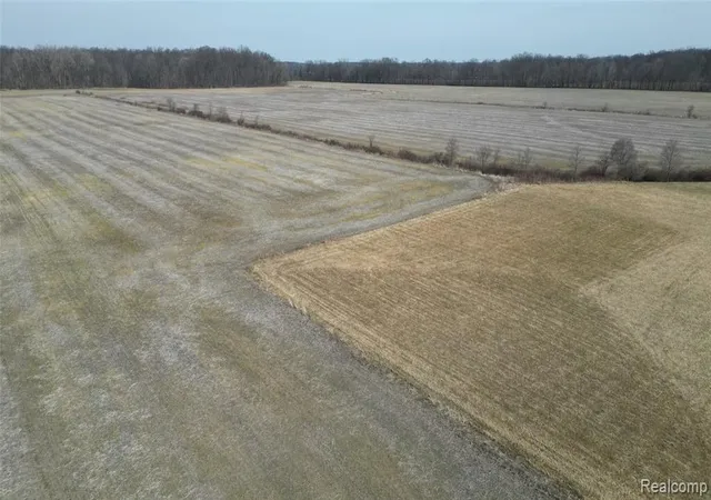 Photo 2 of Land for sale at Lot #12 Kunstman Rd, Ray, MI 48096 | MLS# 61022082 | Listing updated on 2026-08-18