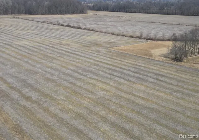 Photo 3 of Land for sale at Lot #12 Kunstman Rd, Ray, MI 48096 | MLS# 61022082 | Listing updated on 2026-08-18