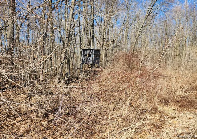 Photo 5 of Land for sale at Lot #12 Kunstman Rd, Ray, MI 48096 | MLS# 61022082 | Listing updated on 2026-08-18