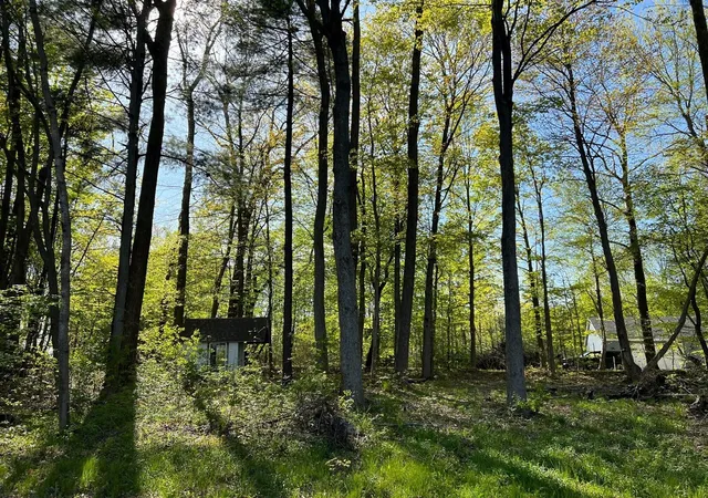 Homes for sale in Coral, MI | Lot 8 Fogeson Dr, Coral, MI 49322 | MLS# 70533934