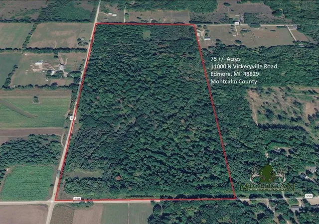 Photo 1 of Land for sale at 11000 N Vickeryville Rd, Edmore, MI 48829 | MLS# 70543987 | Listing updated on 2026-08-29
