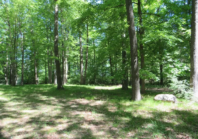 Photo 4 of Land for sale at 11000 N Vickeryville Rd, Edmore, MI 48829 | MLS# 70543987 | Listing updated on 2026-08-29