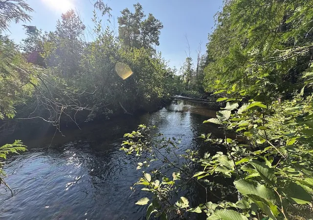 Photo 1 of Sale Pending at E Procunier Rd, Update, MI 48745 | MLS# 70551672 | Listing updated on 2026-08-18