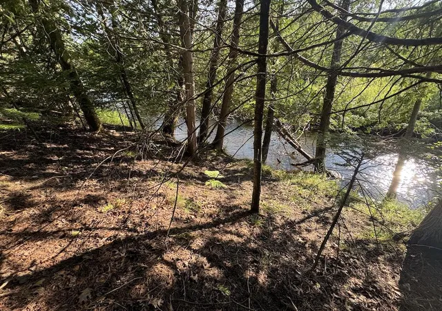 Photo 3 of Sale Pending at E Procunier Rd, Update, MI 48745 | MLS# 70551672 | Listing updated on 2026-08-18