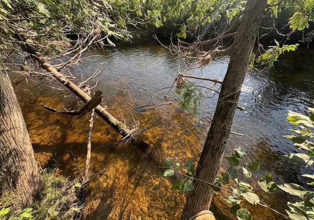 Photo 3 of Sale Pending at E Procunier Rd, Update, MI 48745 | MLS# 70551672 | Listing updated on 2026-08-18
