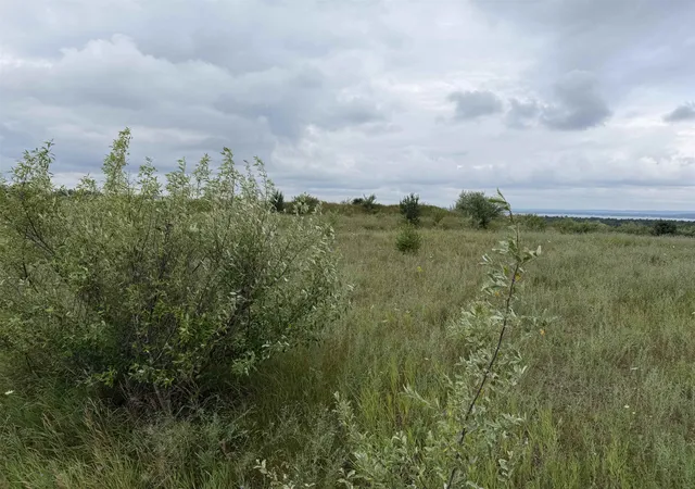 Land for sale at 7505 Highgrove, Williamsburg, MI 49690 | MLS# 80071649