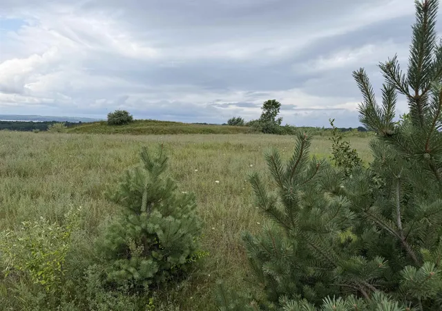 Photo 3 of Land for sale at 7505 Highgrove, Williamsburg, MI 49690 | MLS# 80071649 | Listing updated on 2026-08-21