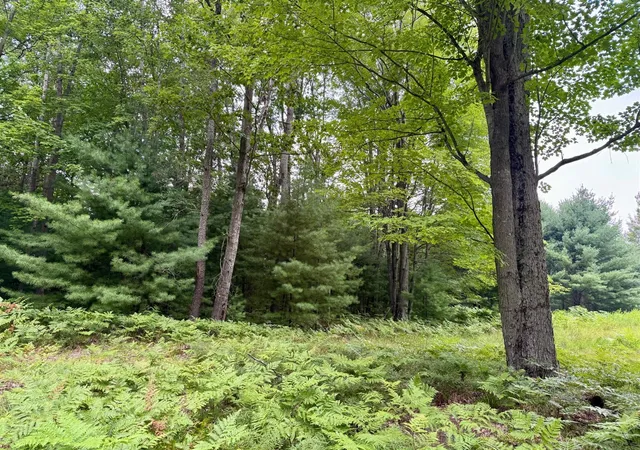Homes for sale in Canadian Lakes, MI | 6362 Cedar Trace, Canadian Lakes, MI 49346 | MLS# 70485045