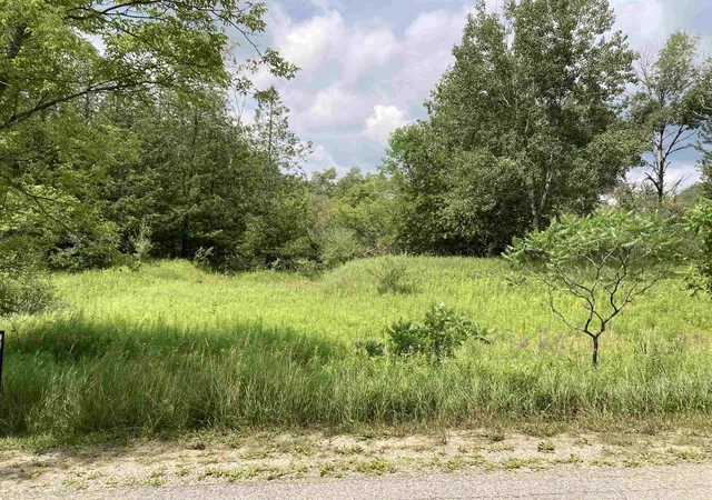 2nd image of N/a Beechwood Rd, Rose City, MI 48654 | MLS# 80070949