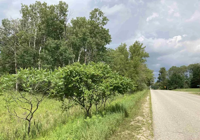 3rd image of N/A Beechwood Rd, Rose City, MI 48654 | MLS# 80070949
