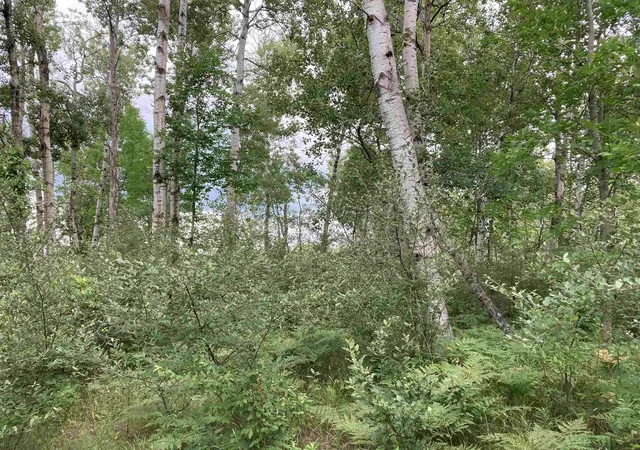 5th image of N/A Beechwood Rd, Rose City, MI 48654 | MLS# 80070949
