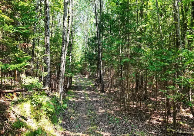 Photo 3 of Sale Pending at Tbd G Rd, Escanaba, MI 49829 | MLS# 50217561 | Listing updated on 2026-08-11