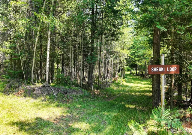 Photo 4 of Sale Pending at Tbd G Rd, Escanaba, MI 49829 | MLS# 50217561 | Listing updated on 2026-08-11