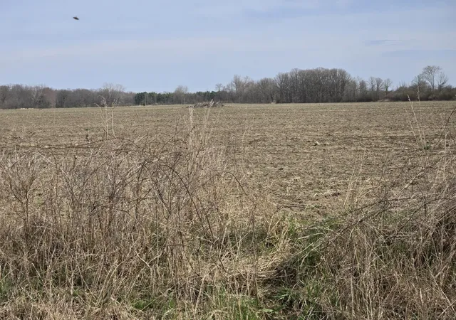 Homes for sale in Richmond Twp, MI | 0 Weber (lot B) Rd, Richmond Twp, MI 48063 | MLS# 50207231