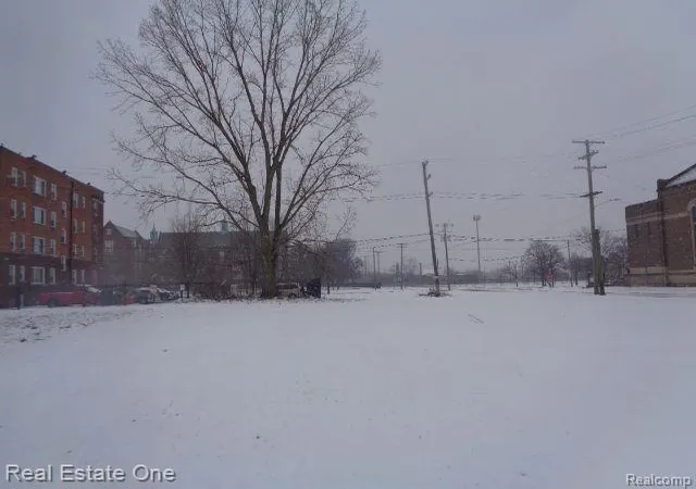 Photo 3 of Land for sale at 2691 Rochester St, Detroit, MI 48206 | MLS# 60285924 | Listing updated on 2025-12-22