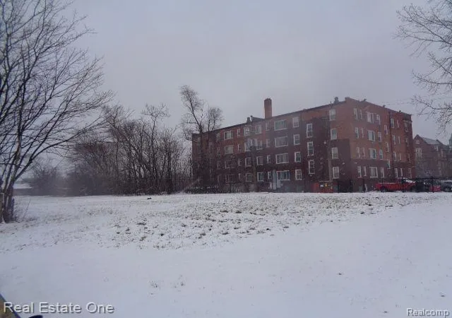Photo 4 of Land for sale at 2691 Rochester St, Detroit, MI 48206 | MLS# 60285924 | Listing updated on 2025-12-22