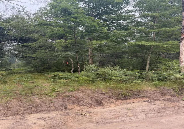 Photo 2 of Land for sale at S 5th Street, Baldwin, MI 49304 | MLS# 70546609 | Listing updated on 2026-07-18