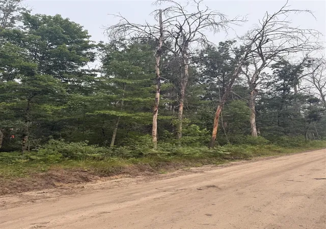 Photo 3 of Land for sale at S 5th Street, Baldwin, MI 49304 | MLS# 70546609 | Listing updated on 2026-07-18