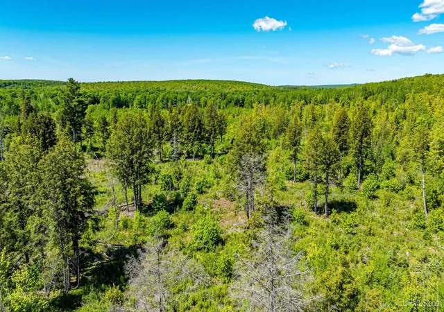 Photo 1 of Land for sale at Tbd 1 Pelkie Rd, Pelkie, MI 49958 | MLS# 50215096 | Listing updated on 2026-07-16