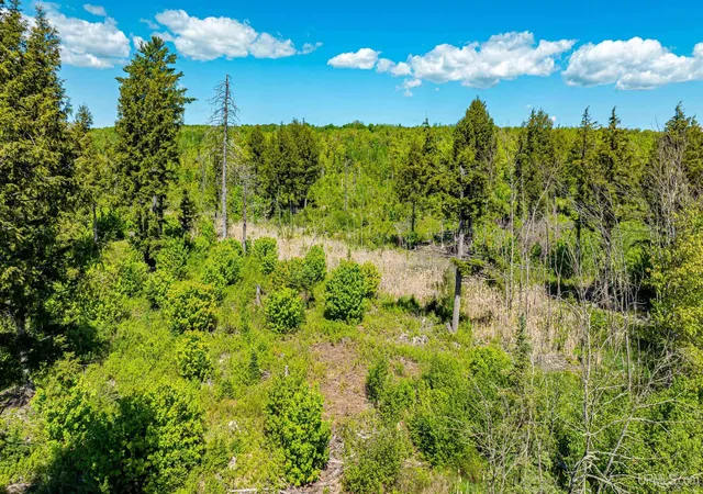 Photo 2 of Land for sale at Tbd 1 Pelkie Rd, Pelkie, MI 49958 | MLS# 50215096 | Listing updated on 2026-07-16