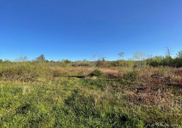 Photo 3 of Land for sale at Tbd 1 Pelkie Rd, Pelkie, MI 49958 | MLS# 50215096 | Listing updated on 2026-07-16
