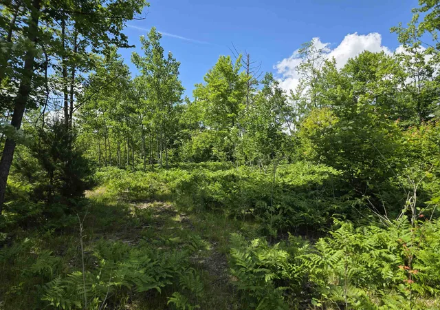 1st image of 80 Vl Mackinaw Trl, Cadillac, MI 49601 | MLS# 80066856