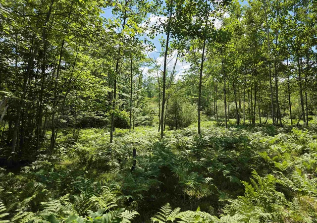 2nd image of 80 Vl Mackinaw Trl, Cadillac, MI 49601 | MLS# 80066856