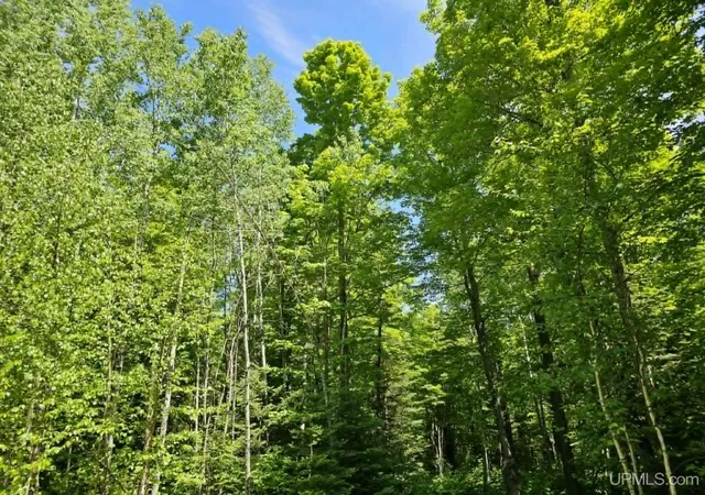 Homes for sale in Iron Mountain, MI | W Herzog Rd, Iron Mountain, MI 49801 | MLS# 50210045