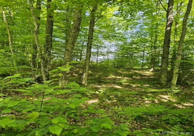 Homes for sale in Iron Mountain, MI | W Herzog Rd, Iron Mountain, MI 49801 | MLS# 50210045