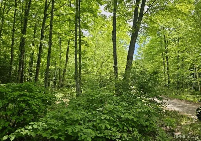Homes for sale in Iron Mountain, MI | W Herzog Rd, Iron Mountain, MI 49801 | MLS# 50210045