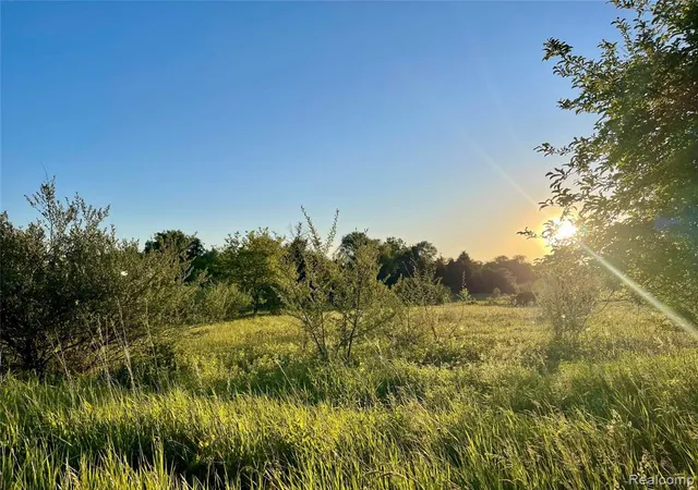 Homes for sale in Attica, MI | 0 Hayden Road, Attica, MI 48412 | MLS# 61003335