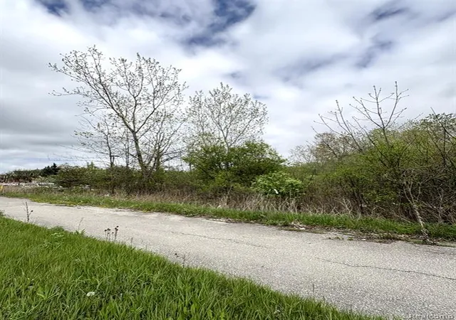 image of 0000 Allen Rd, Trenton, MI 48183 | MLS# 60395879