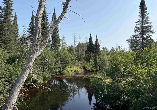 Photo 1 of Land for sale at River 80 E Of N Pointe Rd, Deerton, MI 49822 | MLS# 50219103 | Listing updated on 2026-09-13