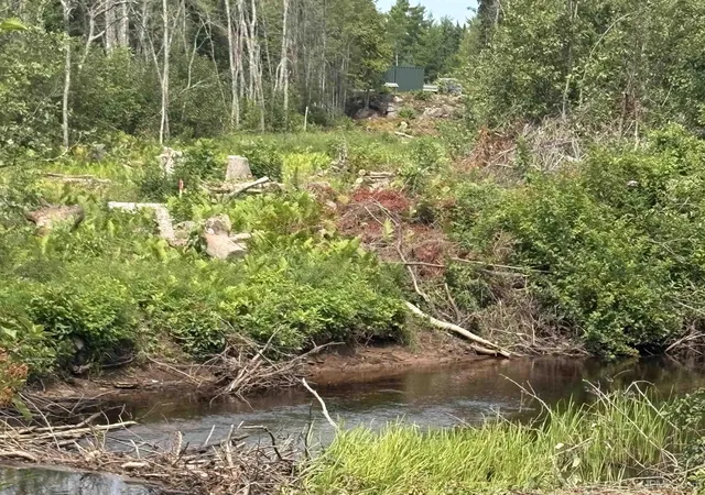 Photo 2 of Land for sale at River 80 E Of N Pointe Rd, Deerton, MI 49822 | MLS# 50219103 | Listing updated on 2026-09-13