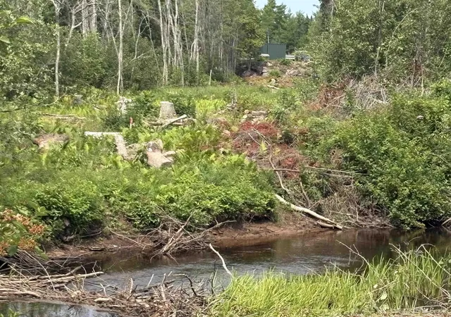 Photo 3 of Land for sale at River 80 E Of N Pointe Rd, Deerton, MI 49822 | MLS# 50219103 | Listing updated on 2026-09-13
