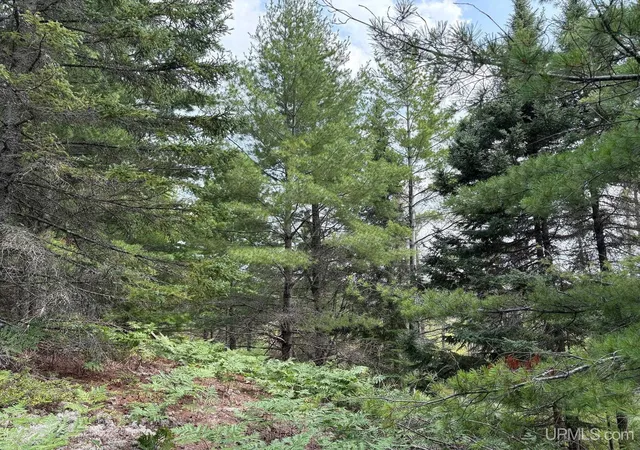 Photo 3 of Land for sale at River 80 E Of N Pointe Rd, Deerton, MI 49822 | MLS# 50219103 | Listing updated on 2026-09-13