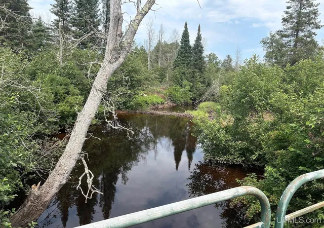 Photo 4 of Land for sale at River 80 E Of N Pointe Rd, Deerton, MI 49822 | MLS# 50219103 | Listing updated on 2026-09-13