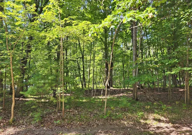 Homes for sale in Stanwood, MI | 10933 Shawnee Trl, Stanwood, MI 49346 | MLS# 70492573