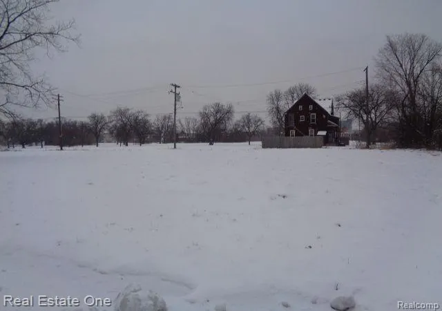 Photo 1 of Land for sale at 446 Concord St, Detroit, MI 48207 | MLS# 60188643 | Listing updated on 2026-01-21