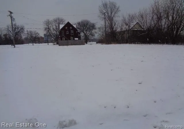 Photo 2 of Land for sale at 446 Concord St, Detroit, MI 48207 | MLS# 60188643 | Listing updated on 2026-01-21