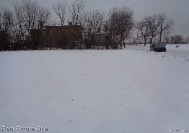 Photo 3 of Land for sale at 446 Concord St, Detroit, MI 48207 | MLS# 60188643 | Listing updated on 2026-01-21