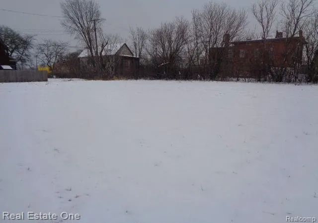 Photo 3 of Land for sale at 446 Concord St, Detroit, MI 48207 | MLS# 60188643 | Listing updated on 2026-01-21