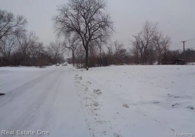 Photo 4 of Land for sale at 446 Concord St, Detroit, MI 48207 | MLS# 60188643 | Listing updated on 2026-01-21