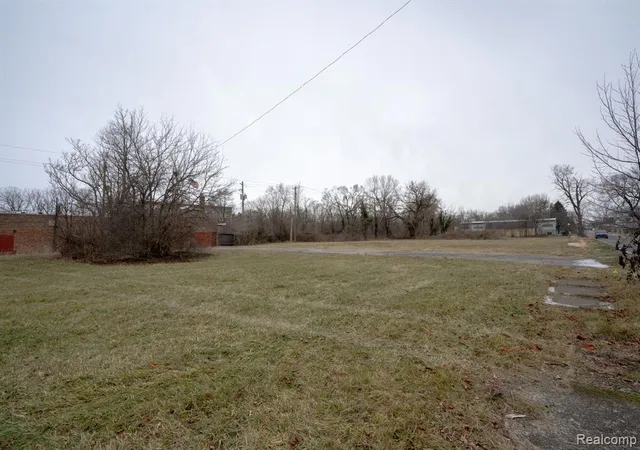 3rd image of 1185 Concord St, Detroit, MI 48207 | MLS# 60962272