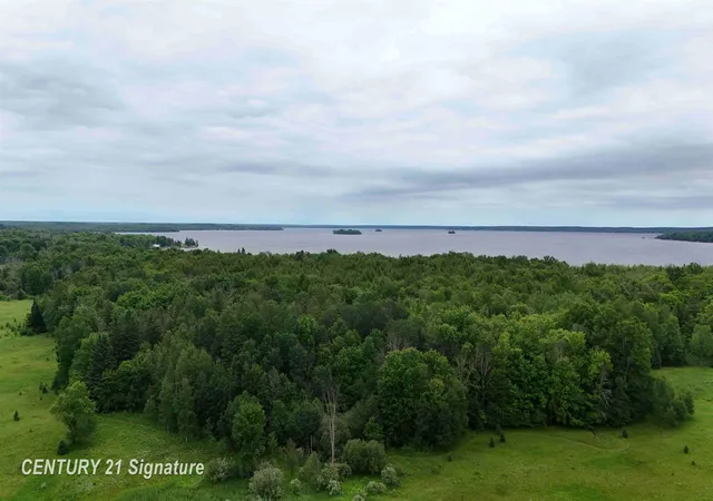Homes for sale in Mc Millan, MI | V/L County Road 477 Road, Mc Millan, MI 49853 | MLS# 50213986