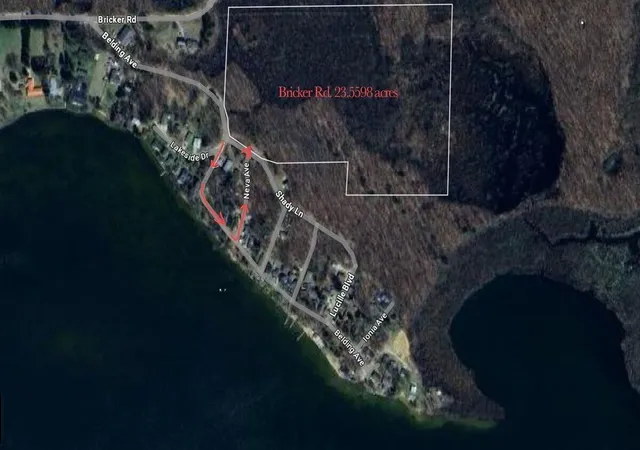 Photo 2 of Unimproved Land at V/l Shady Ln, Fenwick, MI 48834 | MLS# 70472439 | | Sold on 2025-10-31