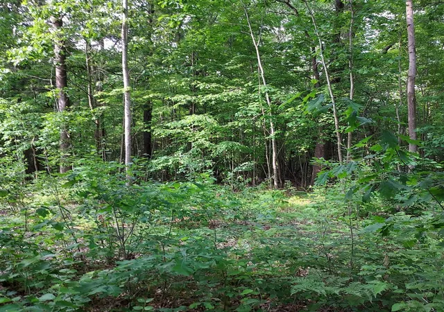 Photo 4 of Unimproved Land at V/l Shady Ln, Fenwick, MI 48834 | MLS# 70472439 | | Sold on 2025-10-31