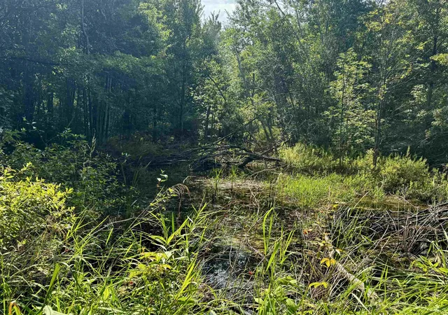 Photo 22 of Single family home for sale at 875 N Lake Station Ave, Harrison, MI 48625 | MLS# 50219990 | Listing updated on 2026-08-27